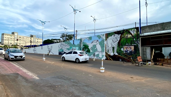Bocalom cobra conclusão do elevado da Estrada Dias Martins e destaca projeto artístico e turístico no viaduto